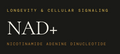 NAD+ 500mg